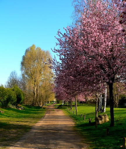 printemps